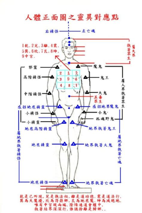 八卦 身體部位